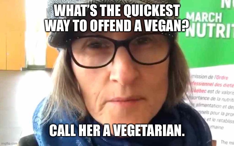 Picking on Vegans | WHAT’S THE QUICKEST WAY TO OFFEND A VEGAN? CALL HER A VEGETARIAN. | image tagged in that vegan teacher meme | made w/ Imgflip meme maker
