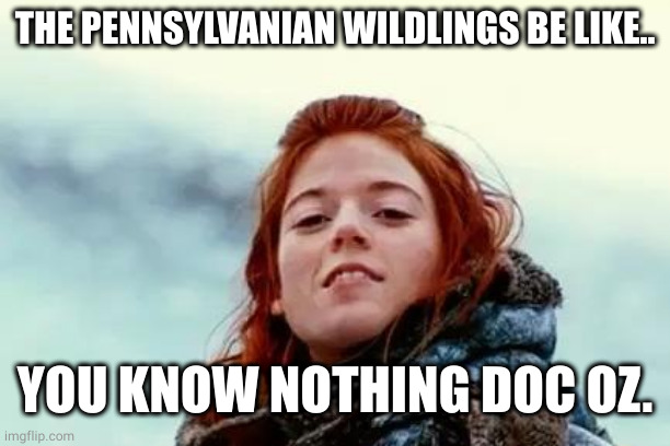 You know nothing | THE PENNSYLVANIAN WILDLINGS BE LIKE.. YOU KNOW NOTHING DOC OZ. | image tagged in you know nothing | made w/ Imgflip meme maker