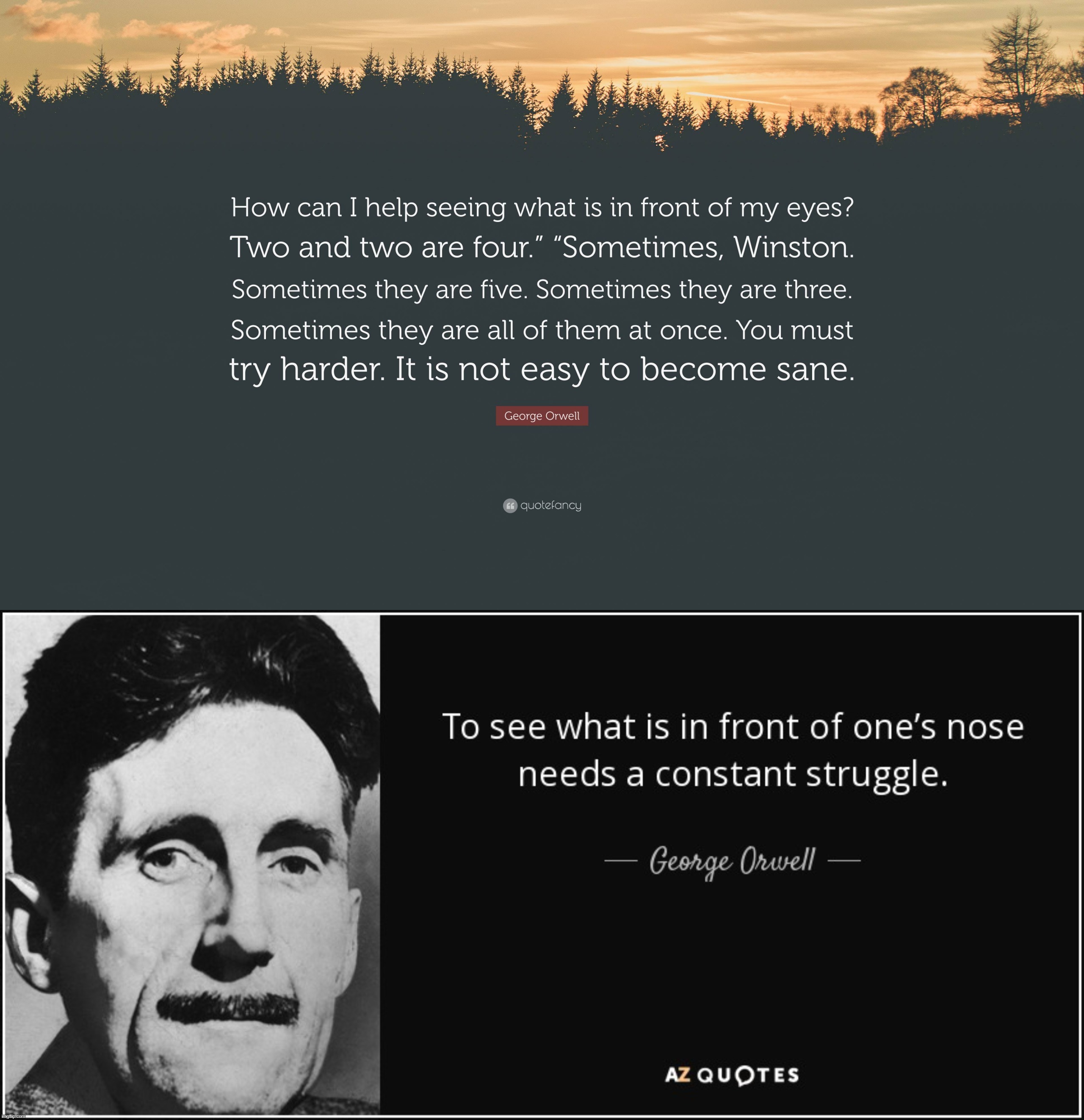 image tagged in george orwell quote two plus two is four,george orwell quote to see what is in front of one's nose | made w/ Imgflip meme maker