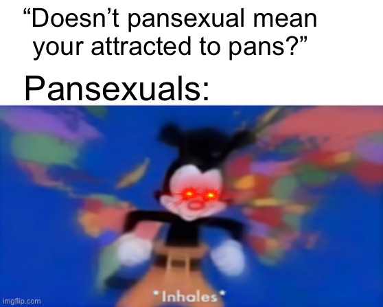Yakko inhale | “Doesn’t pansexual mean your attracted to pans?”; Pansexuals: | image tagged in yakko inhale,inhales,pansexual | made w/ Imgflip meme maker