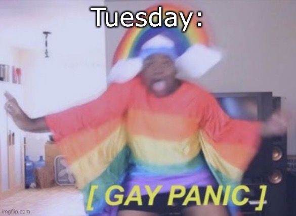 Rainbow Gay Panic | Tuesday: | image tagged in rainbow gay panic | made w/ Imgflip meme maker