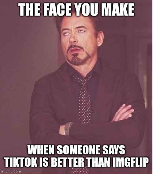 At least RDJR agrees with me | THE FACE YOU MAKE; WHEN SOMEONE SAYS TIKTOK IS BETTER THAN IMGFLIP | image tagged in memes,face you make robert downey jr | made w/ Imgflip meme maker