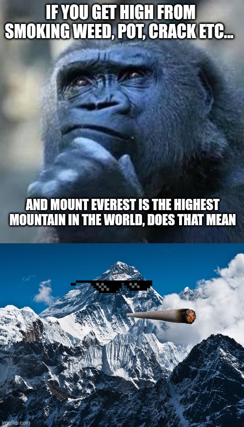 Mount Everest is a beast | IF YOU GET HIGH FROM SMOKING WEED, POT, CRACK ETC... AND MOUNT EVEREST IS THE HIGHEST MOUNTAIN IN THE WORLD, DOES THAT MEAN | image tagged in thinking ape | made w/ Imgflip meme maker