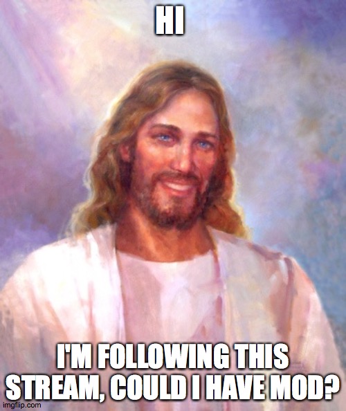 :) | HI; I'M FOLLOWING THIS STREAM, COULD I HAVE MOD? | image tagged in memes,smiling jesus | made w/ Imgflip meme maker