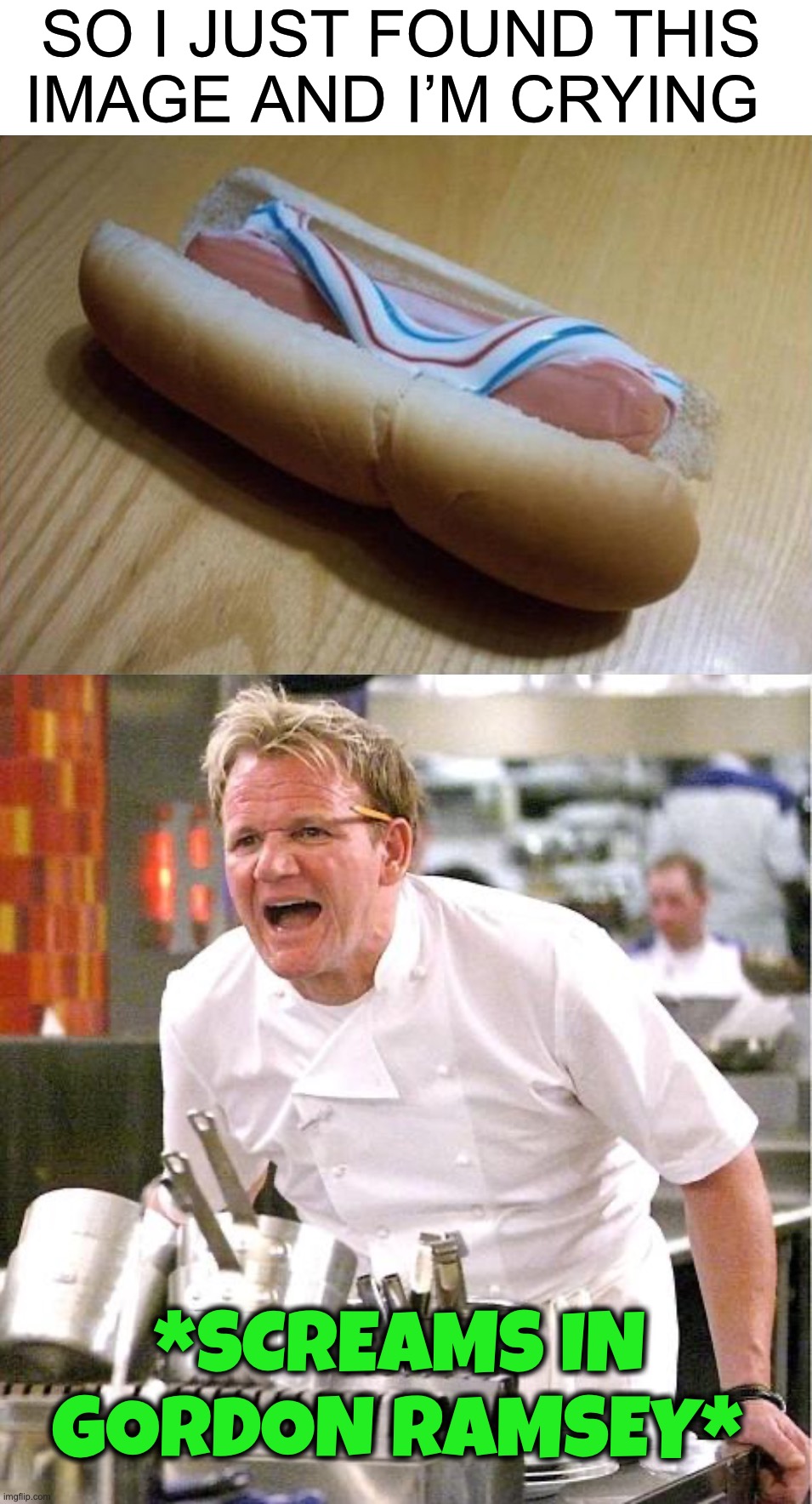Wtf | SO I JUST FOUND THIS IMAGE AND I’M CRYING; *SCREAMS IN GORDON RAMSEY* | image tagged in memes,chef gordon ramsay,funny,oop,wtf,angry chef gordon ramsay | made w/ Imgflip meme maker
