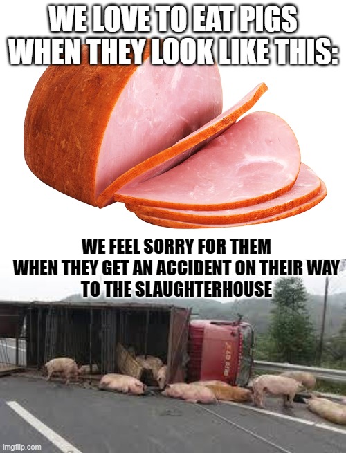 We love pigs, no matter what they look like | WE LOVE TO EAT PIGS WHEN THEY LOOK LIKE THIS:; WE FEEL SORRY FOR THEM
WHEN THEY GET AN ACCIDENT ON THEIR WAY
TO THE SLAUGHTERHOUSE | image tagged in hypocrisy,pigs,pork,think about it | made w/ Imgflip meme maker