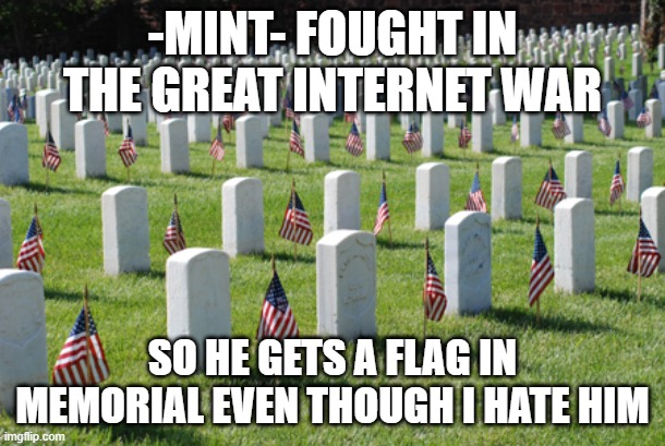 Veterans graveyard | -MINT- FOUGHT IN THE GREAT INTERNET WAR; SO HE GETS A FLAG IN MEMORIAL EVEN THOUGH I HATE HIM | image tagged in veterans graveyard,memes,president_joe_biden | made w/ Imgflip meme maker