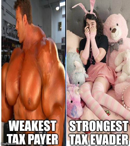 STRONGEST TAX EVADER; WEAKEST TAX PAYER | image tagged in poop,taxation is theft,neckbeard libertarian,gay pride,i hate you | made w/ Imgflip meme maker