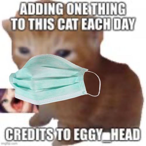 Day two of adding one thing to a cat each day | image tagged in herbert the pervert,herbert | made w/ Imgflip meme maker