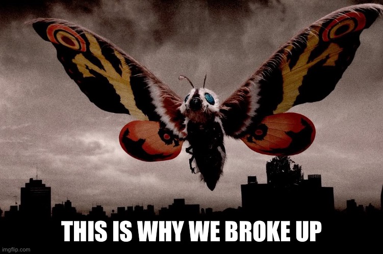 Mothra | THIS IS WHY WE BROKE UP | image tagged in mothra | made w/ Imgflip meme maker