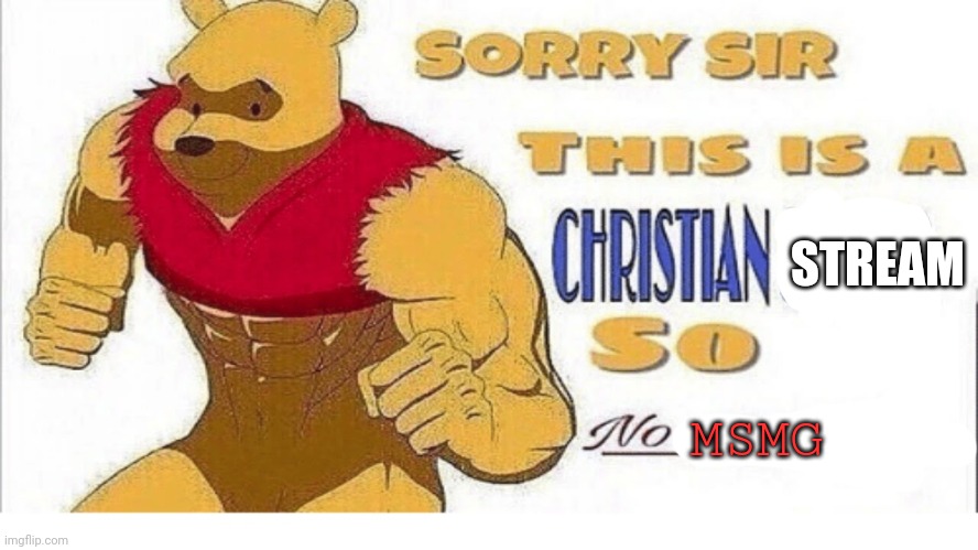 Plz? No msmg | STREAM; MSMG | image tagged in sorry sir this is a christian sever so no swearing | made w/ Imgflip meme maker