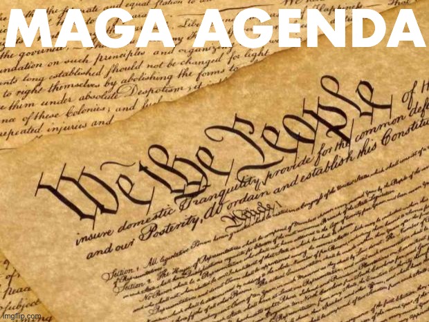 Constitution | MAGA AGENDA | image tagged in constitution | made w/ Imgflip meme maker