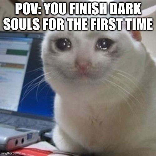 Crying cat | POV: YOU FINISH DARK SOULS FOR THE FIRST TIME | image tagged in crying cat | made w/ Imgflip meme maker