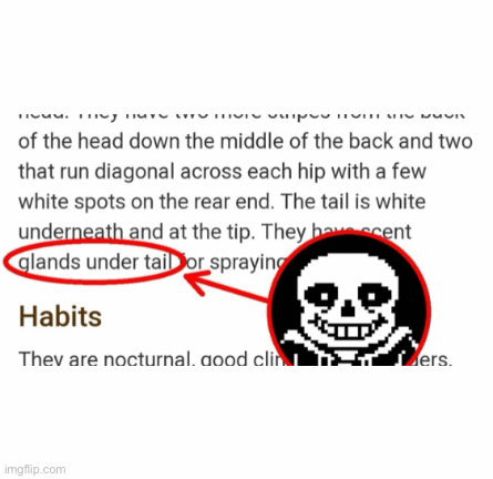 Random Ass Images I Have Imgflip