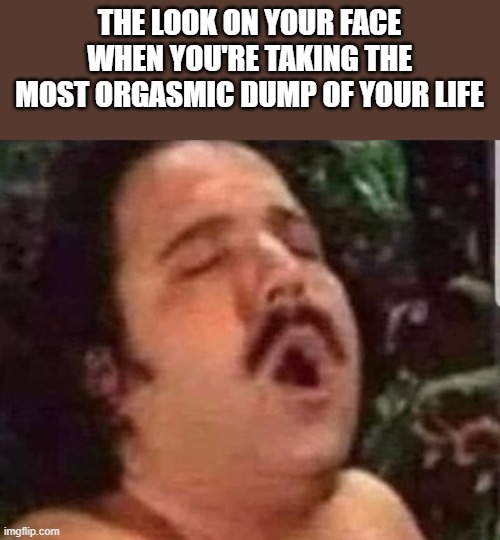 Most Orgasmic Dump Of Your Life | THE LOOK ON YOUR FACE WHEN YOU'RE TAKING THE MOST ORGASMIC DUMP OF YOUR LIFE | image tagged in orgasm,dump,ron jeremy,funny face,funny,memes | made w/ Imgflip meme maker