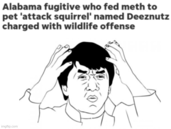 Alabamians are crazy | image tagged in alabama,squirrel,meth,fugative | made w/ Imgflip meme maker