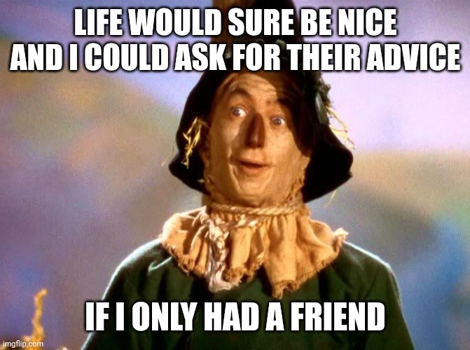 LIFE WOULD SURE BE NICE AND I COULD ASK FOR THEIR ADVICE IF I ONLY HAD A FRIEND | image tagged in wizard of oz scarecrow | made w/ Imgflip meme maker