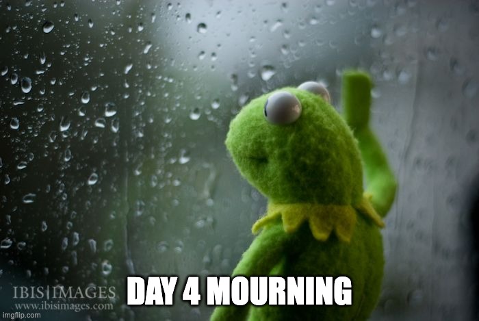 kermit window | DAY 4 MOURNING | image tagged in kermit window | made w/ Imgflip meme maker