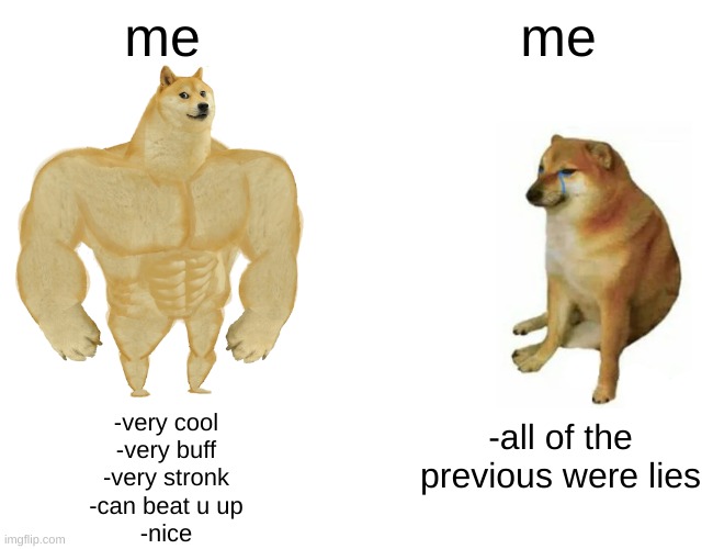Buff Doge vs. Cheems | me; me; -very cool
-very buff
-very stronk
-can beat u up
-nice; -all of the previous were lies | image tagged in memes,buff doge vs cheems,hypocrite,lies,hypocrisy,myself | made w/ Imgflip meme maker