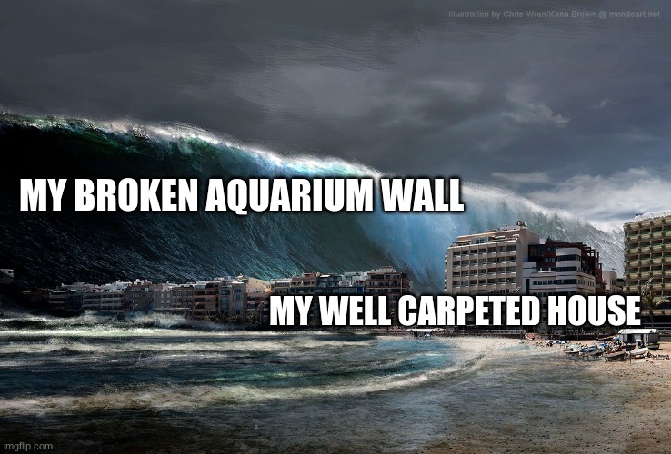 Minecraft Memes #1 | MY BROKEN AQUARIUM WALL; MY WELL CARPETED HOUSE | image tagged in tsunami wave,minecraft,house,tsunami | made w/ Imgflip meme maker