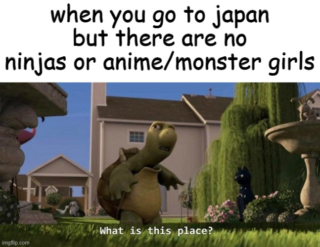 ha | when you go to japan but there are no ninjas or anime/monster girls | image tagged in what is this place,japan,japanese,meanwhile in japan,anime | made w/ Imgflip meme maker