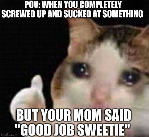 Approved crying cat | POV: WHEN YOU COMPLETELY SCREWED UP AND SUCKED AT SOMETHING; BUT YOUR MOM SAID "GOOD JOB SWEETIE" | image tagged in approved crying cat,middle school,sports,lol so funny,memes,crying cat | made w/ Imgflip meme maker