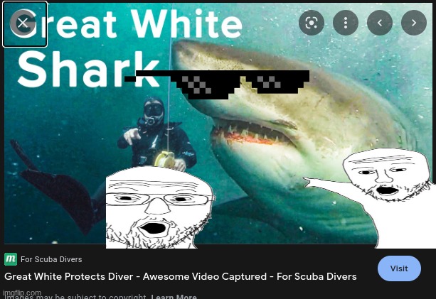 Now that's a gigachad boi | image tagged in shark,scuba diving | made w/ Imgflip meme maker