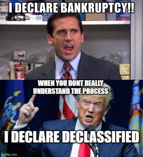 WHEN YOU DONT REALLY UNDERSTAND THE PROCESS; I DECLARE DECLASSIFIED | image tagged in donald trump is an idiot | made w/ Imgflip meme maker