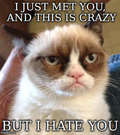 image tagged in memes,grumpy cat,funny,cats,AdviceAnimals | made w/ Imgflip meme maker