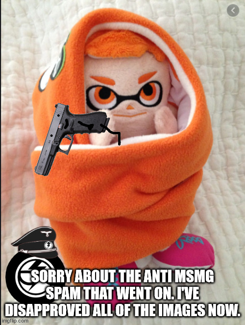 Announcement.jpg | SORRY ABOUT THE ANTI MSMG SPAM THAT WENT ON. I'VE DISAPPROVED ALL OF THE IMAGES NOW. | image tagged in woomy in a blanket | made w/ Imgflip meme maker