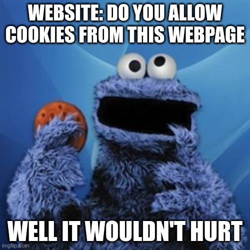 Do you allow | WEBSITE: DO YOU ALLOW COOKIES FROM THIS WEBPAGE; WELL IT WOULDN'T HURT | image tagged in cookie monster | made w/ Imgflip meme maker