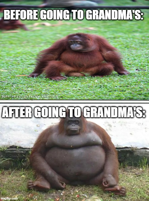 BEFORE GOING TO GRANDMA'S:; AFTER GOING TO GRANDMA'S: | image tagged in memes,le monke,monkey,funny,meme,funny meme | made w/ Imgflip meme maker
