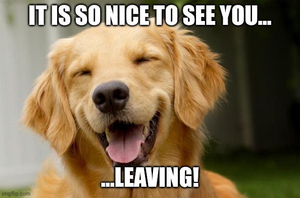 Bye bye | IT IS SO NICE TO SEE YOU... ...LEAVING! | image tagged in happy dog | made w/ Imgflip meme maker