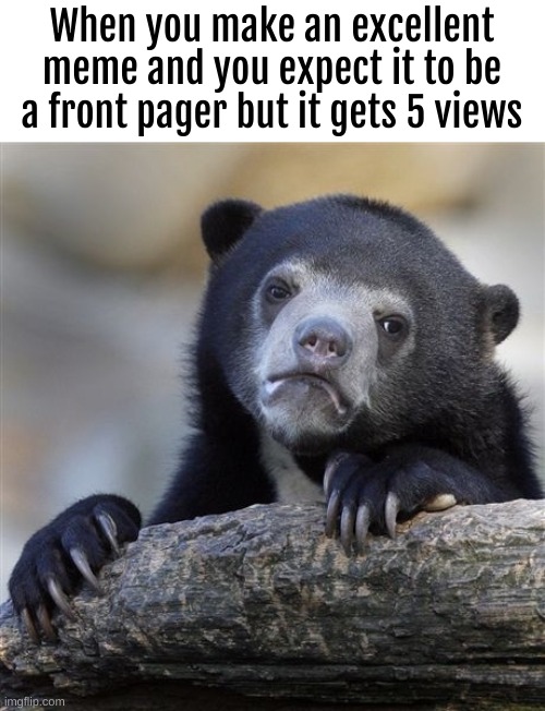 bruh | When you make an excellent meme and you expect it to be a front pager but it gets 5 views | image tagged in memes,confession bear | made w/ Imgflip meme maker