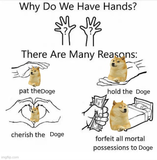 This Is Why We Have Hands | Doge; Doge; Doge; Doge | image tagged in why do we have hands all blank,doge,doge is the best meme,hands,movements with hands | made w/ Imgflip meme maker