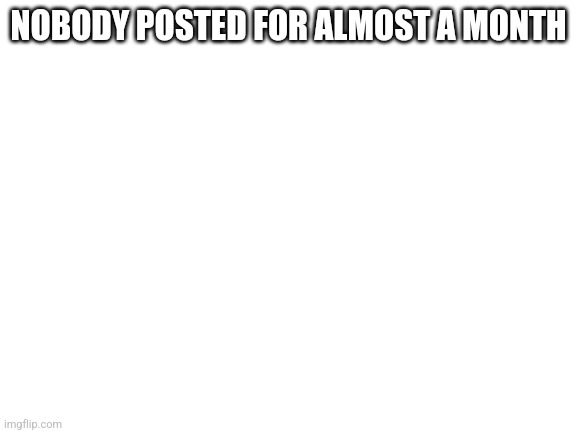 Blank White Template | NOBODY POSTED FOR ALMOST A MONTH | image tagged in blank white template | made w/ Imgflip meme maker