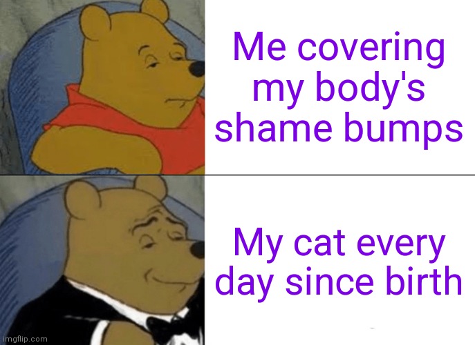 He doesn't have a job even harder than me | Me covering my body's shame bumps; My cat every day since birth | image tagged in memes,tuxedo winnie the pooh,unemployed,cats,beauty | made w/ Imgflip meme maker