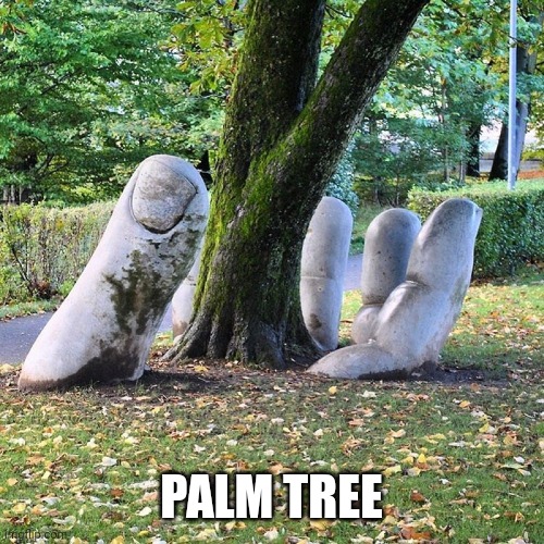 PALM TREE | image tagged in tree | made w/ Imgflip meme maker