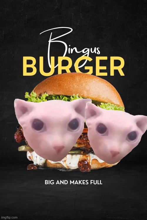 Mmm Bingurger Imgflip