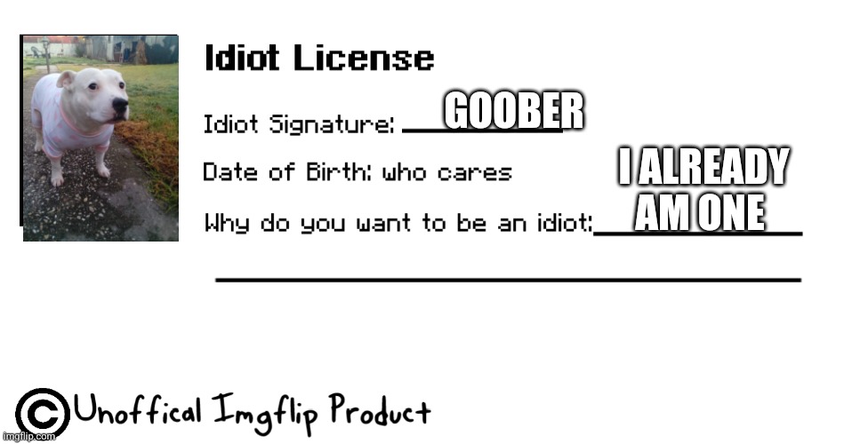 Idiot License Imgflip