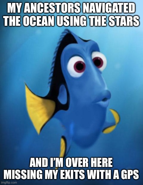 Navigational error | MY ANCESTORS NAVIGATED THE OCEAN USING THE STARS; AND I’M OVER HERE MISSING MY EXITS WITH A GPS | image tagged in dory,gps,lost,navigate,navigation | made w/ Imgflip meme maker