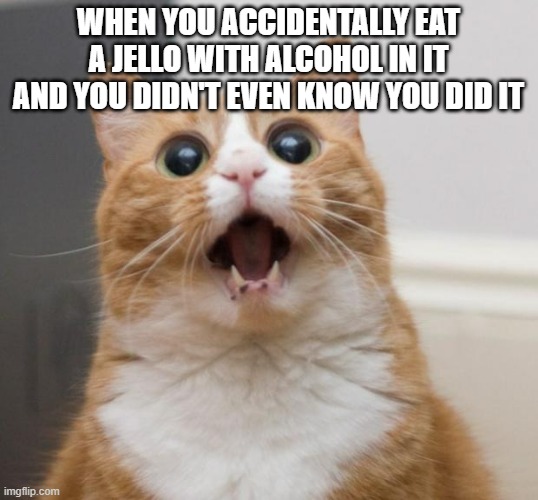 I was pretty scared there for a bit - not doing that ever again ugh | WHEN YOU ACCIDENTALLY EAT A JELLO WITH ALCOHOL IN IT AND YOU DIDN'T EVEN KNOW YOU DID IT | image tagged in scared cat,memes,relatable,cats,alcohol,scary | made w/ Imgflip meme maker
