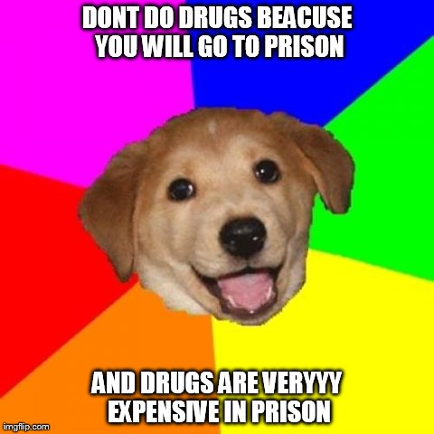 Advice Dog | DONT DO DRUGS BEACUSE YOU WILL GO TO PRISON AND DRUGS ARE VERYYY EXPENSIVE IN PRISON | image tagged in memes,advice dog | made w/ Imgflip meme maker