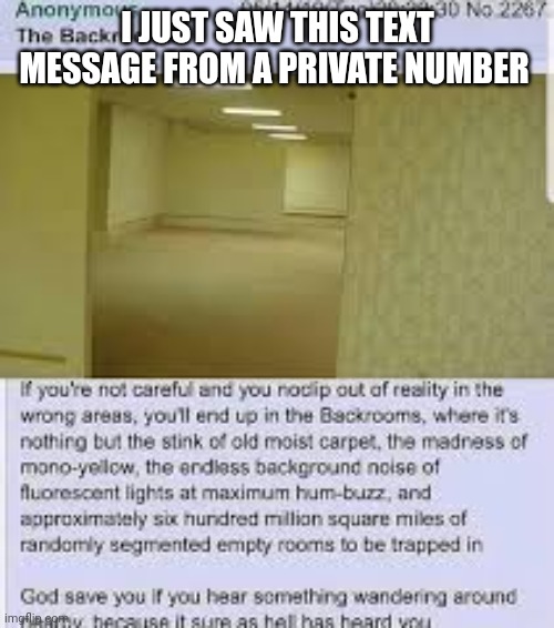Weird | I JUST SAW THIS TEXT MESSAGE FROM A PRIVATE NUMBER | image tagged in the backrooms | made w/ Imgflip meme maker