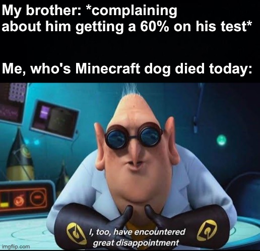 I have been crying for the past hour | My brother: *complaining about him getting a 60% on his test*; Me, who's Minecraft dog died today: | image tagged in memes,unfunny | made w/ Imgflip meme maker