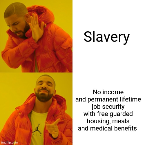 Slavery No income and permanent lifetime job security with free guarded housing, meals and medical benefits | image tagged in memes,drake hotline bling | made w/ Imgflip meme maker