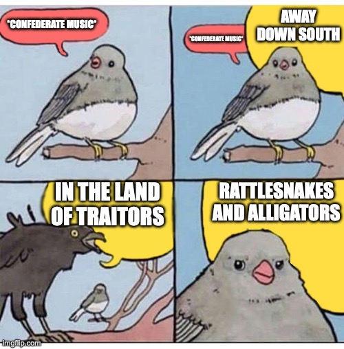 AWAY DOWN SOUTH IN THE LAND OF TRAITORS... | AWAY DOWN SOUTH; *CONFEDERATE MUSIC*; *CONFEDERATE MUSIC*; IN THE LAND OF TRAITORS; RATTLESNAKES AND ALLIGATORS | image tagged in annoyed bird | made w/ Imgflip meme maker