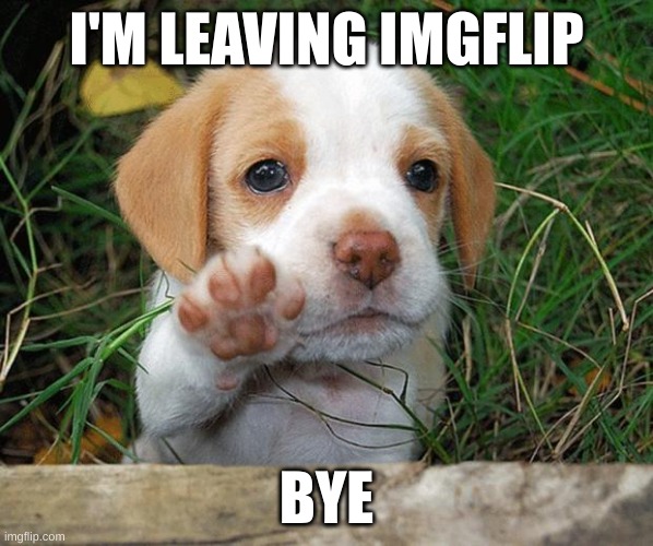 Bye | I'M LEAVING IMGFLIP; BYE | image tagged in dog puppy bye | made w/ Imgflip meme maker