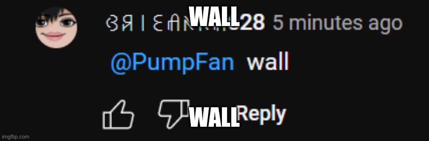 wall | WALL; WALL | image tagged in wall | made w/ Imgflip meme maker