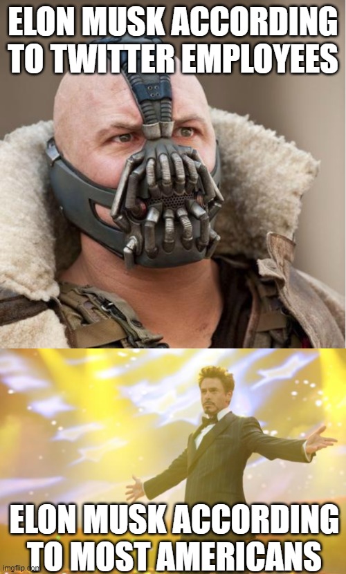 ELON MUSK ACCORDING TO TWITTER EMPLOYEES; ELON MUSK ACCORDING TO MOST AMERICANS | image tagged in elon musk,bane,tony stark success | made w/ Imgflip meme maker